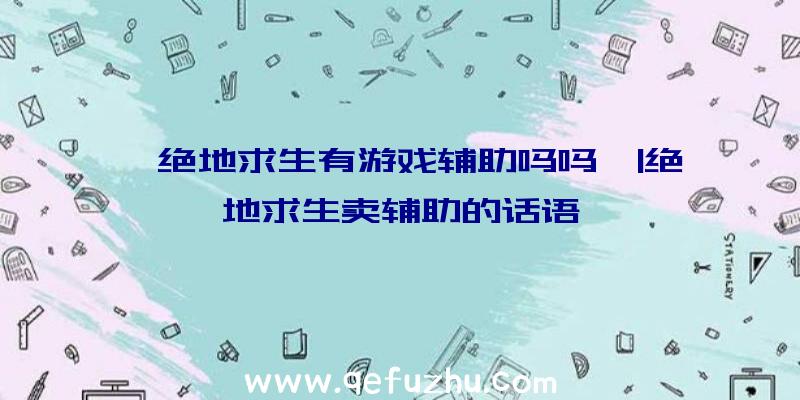 「绝地求生有游戏辅助吗吗」|绝地求生卖辅助的话语